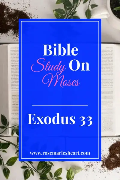 Bible Study On Moses | Exodus 33 | SOAP Method